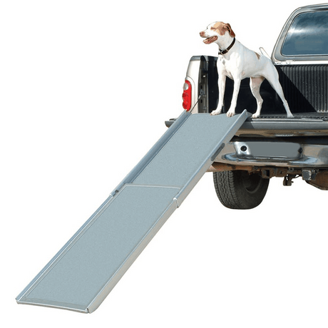 Dog ramp on the back of a ute with a large dog at the top looking down