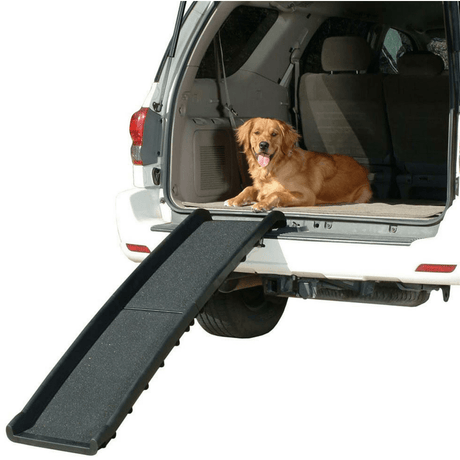 black folding plastic pet ramp with dog in the back of car