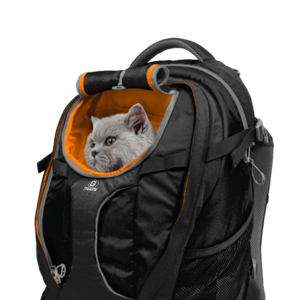 Kurgo Pet Products Kurgo G-Train K9 Pet Backpack