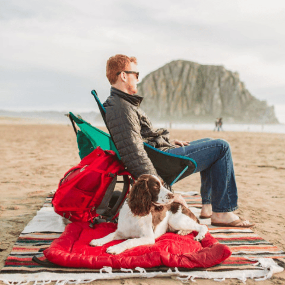 PetSafe® Pet Products Kurgo Loft Wander Bed for Dogs