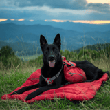 PetSafe® Pet Products Kurgo Loft Wander Bed for Dogs