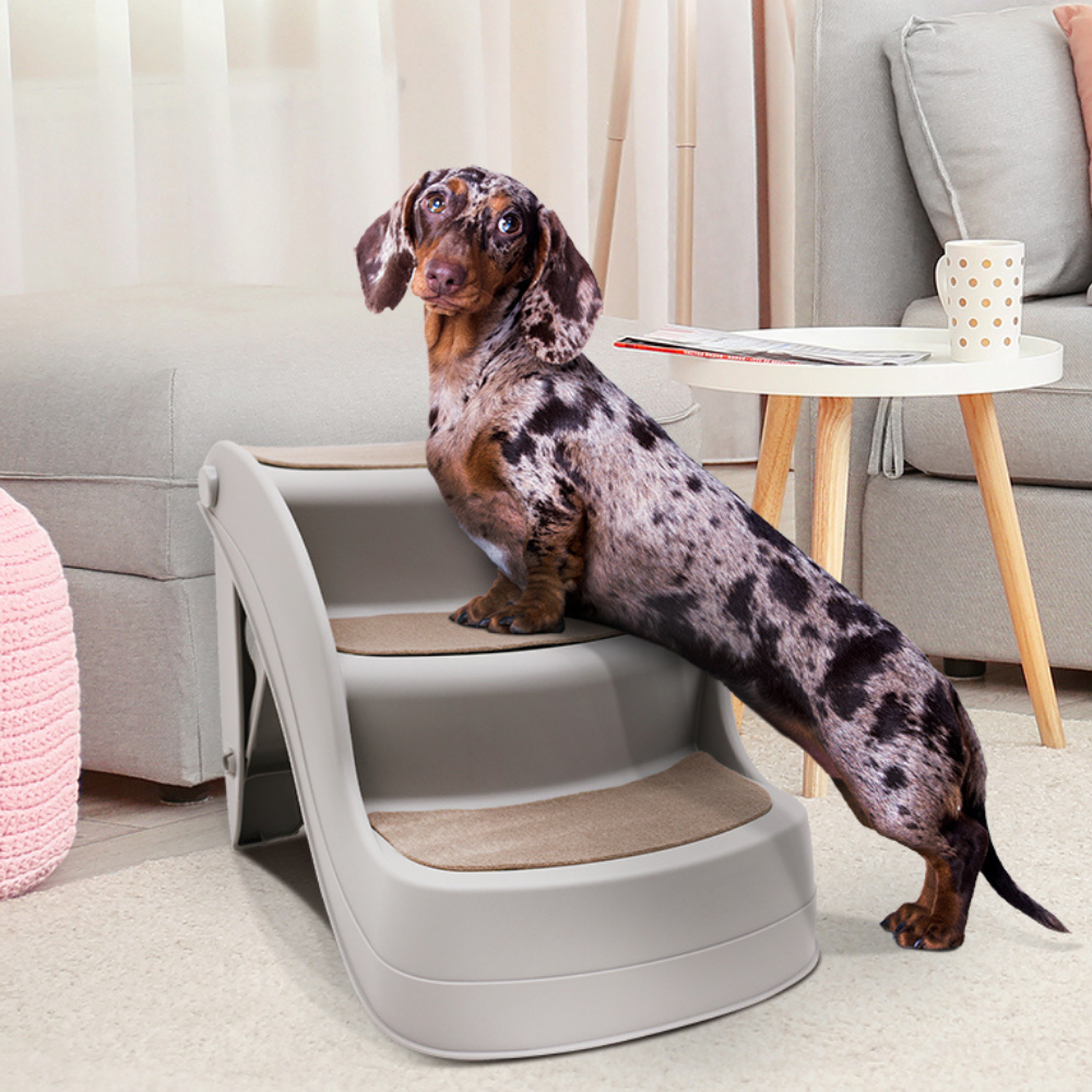 Dog using a set of pet stairs in a living room setting