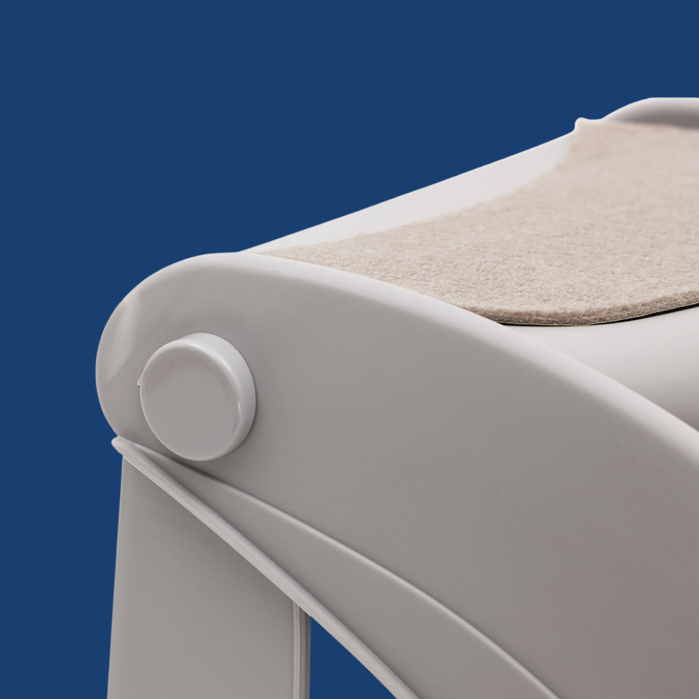 Close-up of a white dog steps