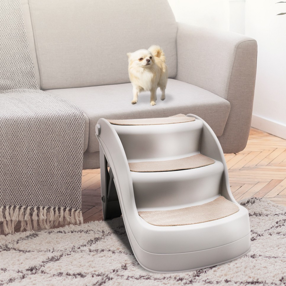 Pet step leading up to a couch with a small dog standing on it