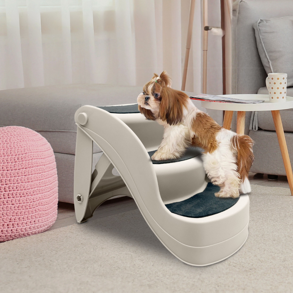 Small dog using a pet ramp in a living room setting.
