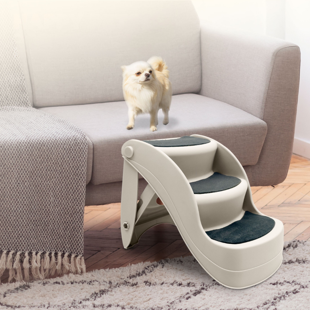 Pet stair with a small dog standing on a couch in a living room setting