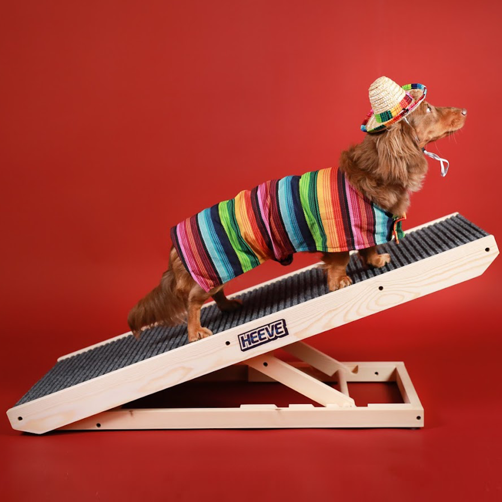 dog on Heeve 'Up-Ya-Get' Wooden Dog Ramp For Beds & Couches