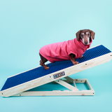 dog on Heeve 'Up-Ya-Get' Wooden Dog Ramp For Beds & Couches