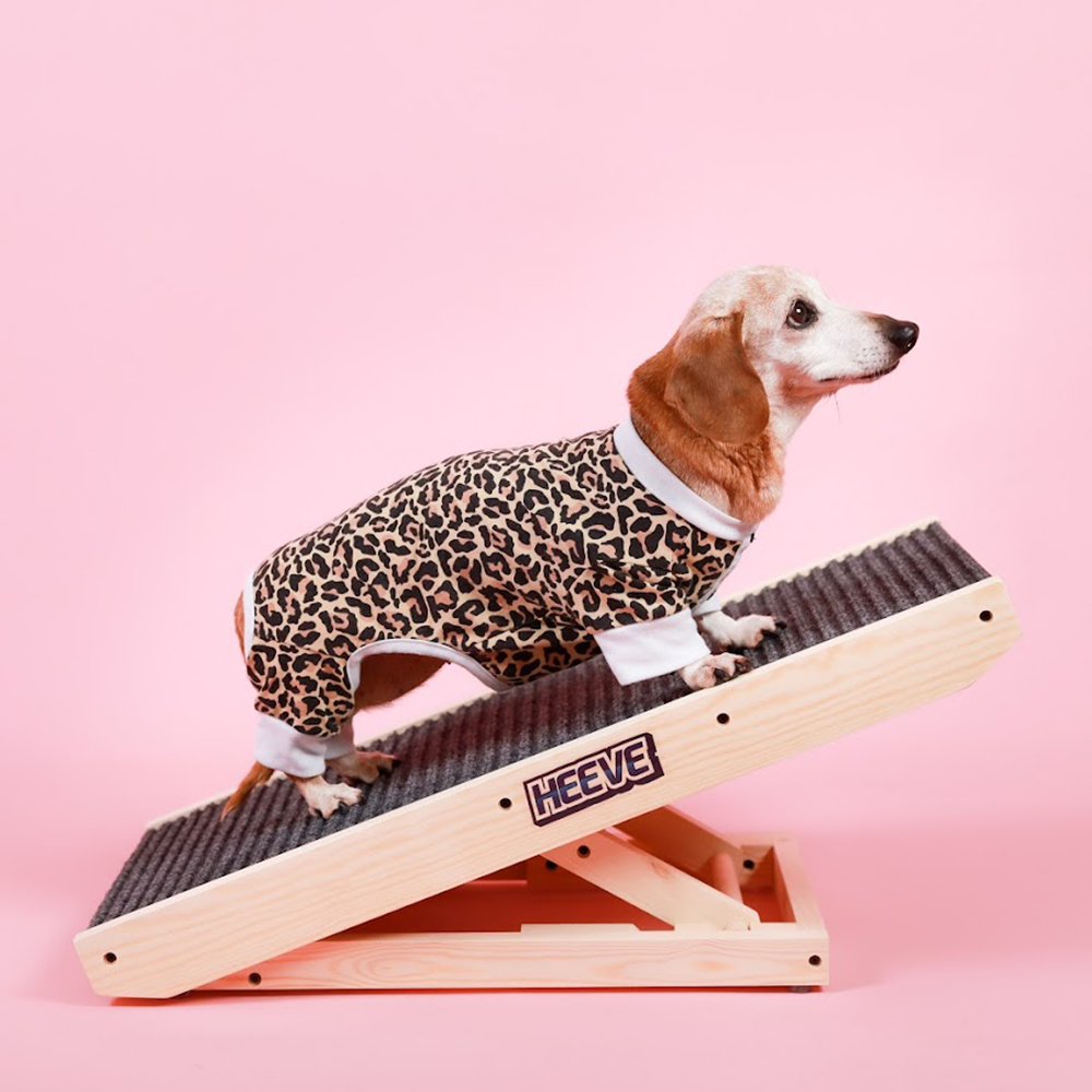dog on Heeve 'Up-Ya-Get' Wooden Dog Ramp For Beds & Couches