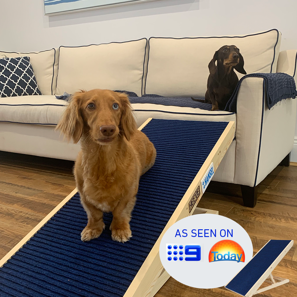 dog on Heeve 'Up-Ya-Get' Wooden Dog Ramp For Beds & Couches