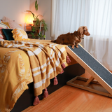 dog on bed ready to walk on Heeve 'Up-Ya-Get' Wooden Dog Ramp For Beds & Couches