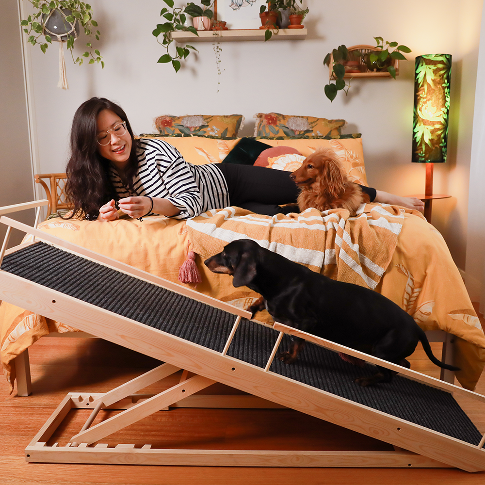 dog on ramp with the fur parent