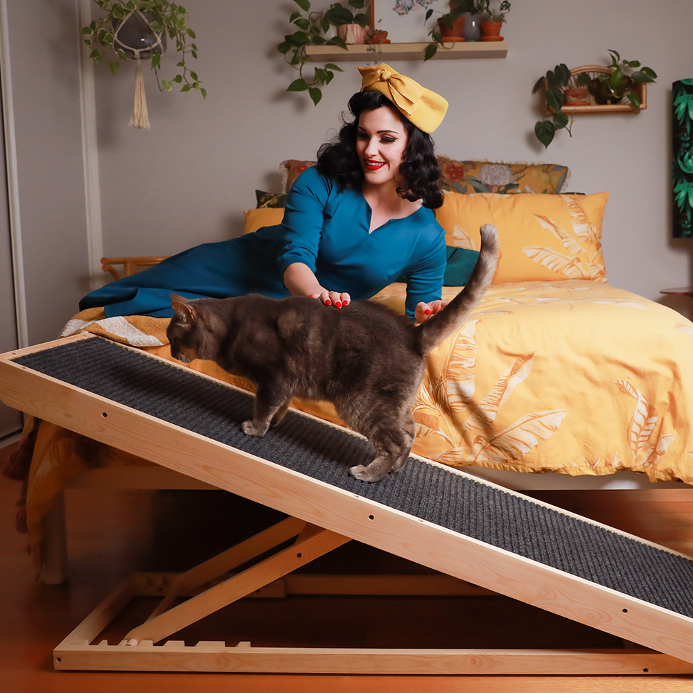 cat on the ramp with the fur parent