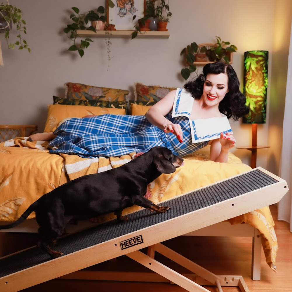 dog on the ramp with the fur parent