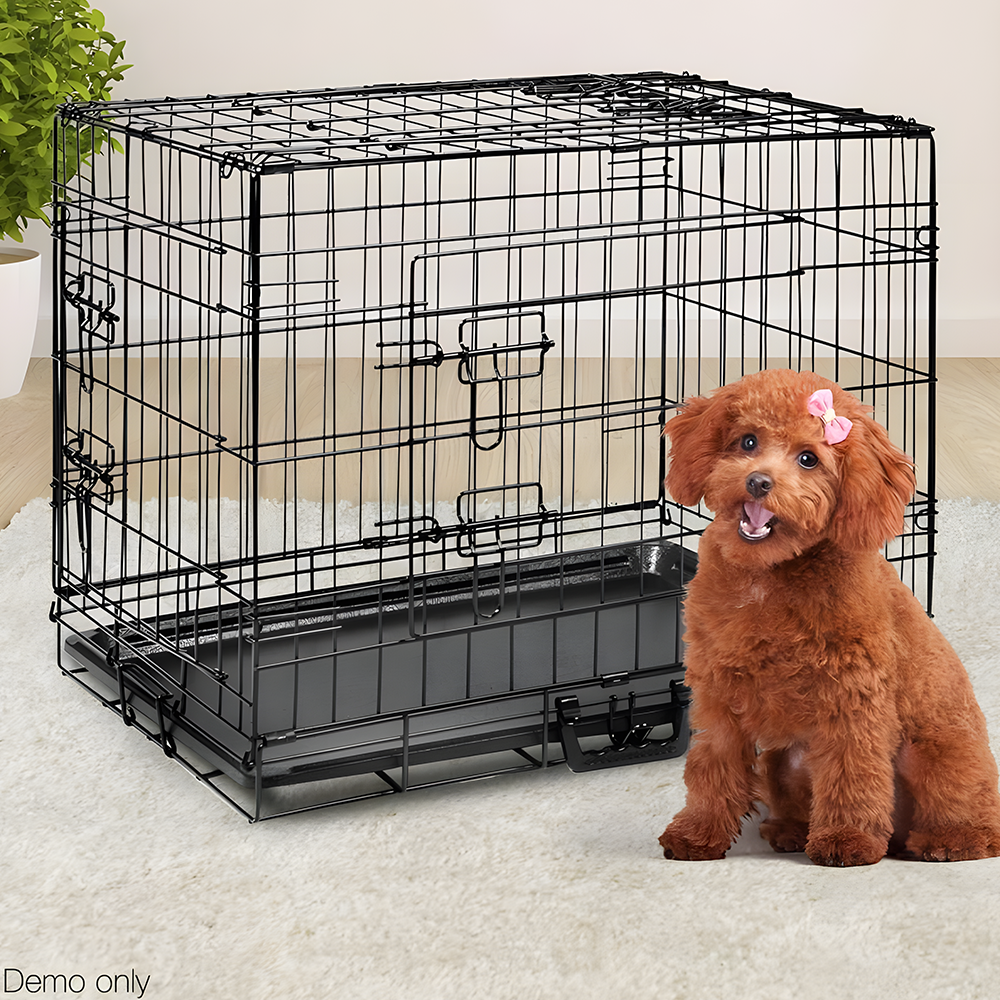 cute poodle beside the i.Pet 36inch Pet Cage - Black