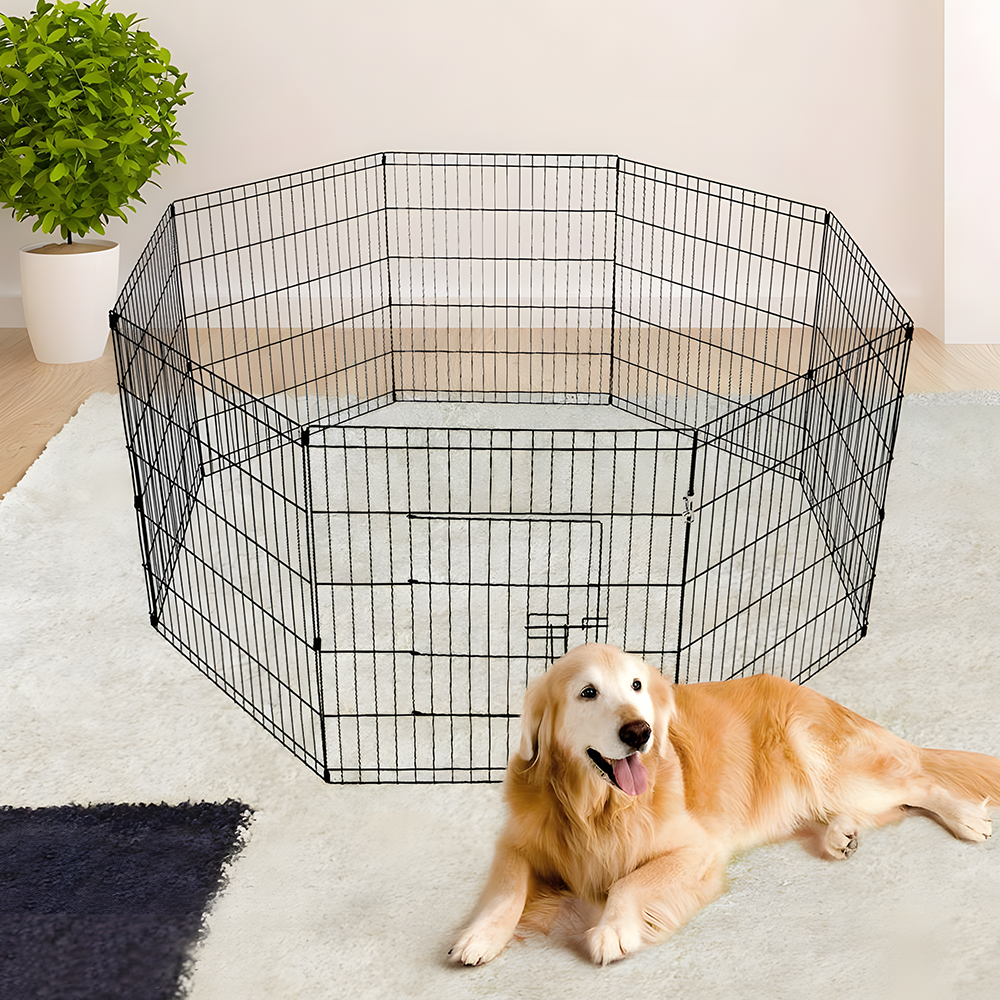 dog outside the i.Pet 36inch Pet Play Pen - Black