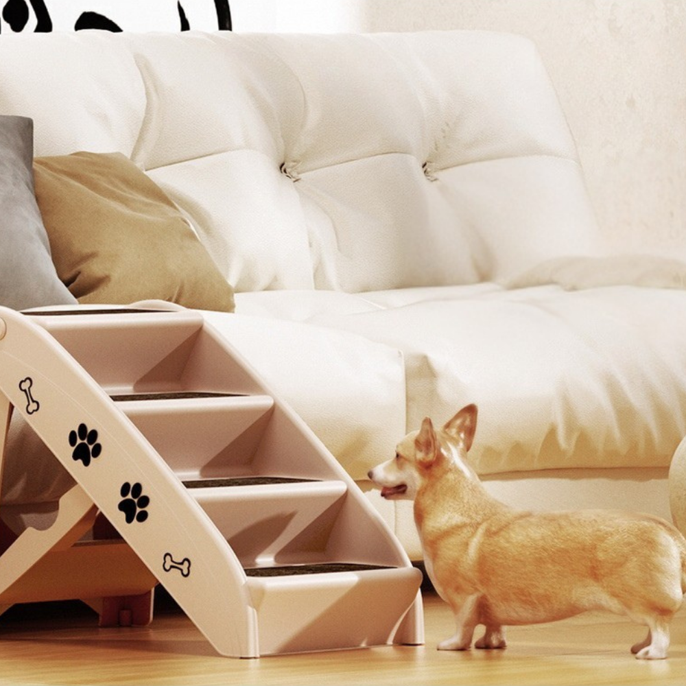 Dog standing next to a set of pet stairs in a living room.