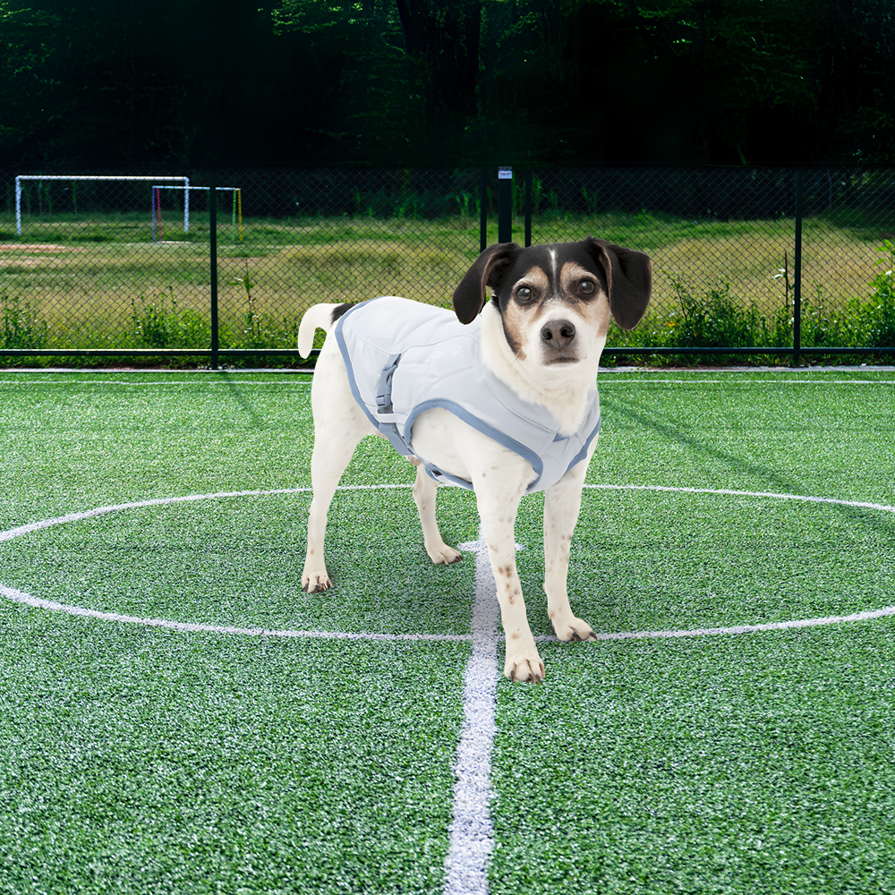 Kurgo Core Cooling Dog Vest - Icy Blue/Storm Blue