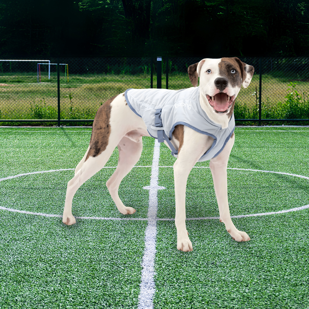 Kurgo Core Cooling Dog Vest - Icy Blue/Storm Blue