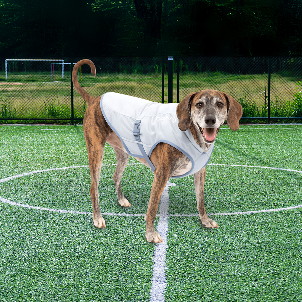 Kurgo Core Cooling Dog Vest - Icy Blue/Storm Blue