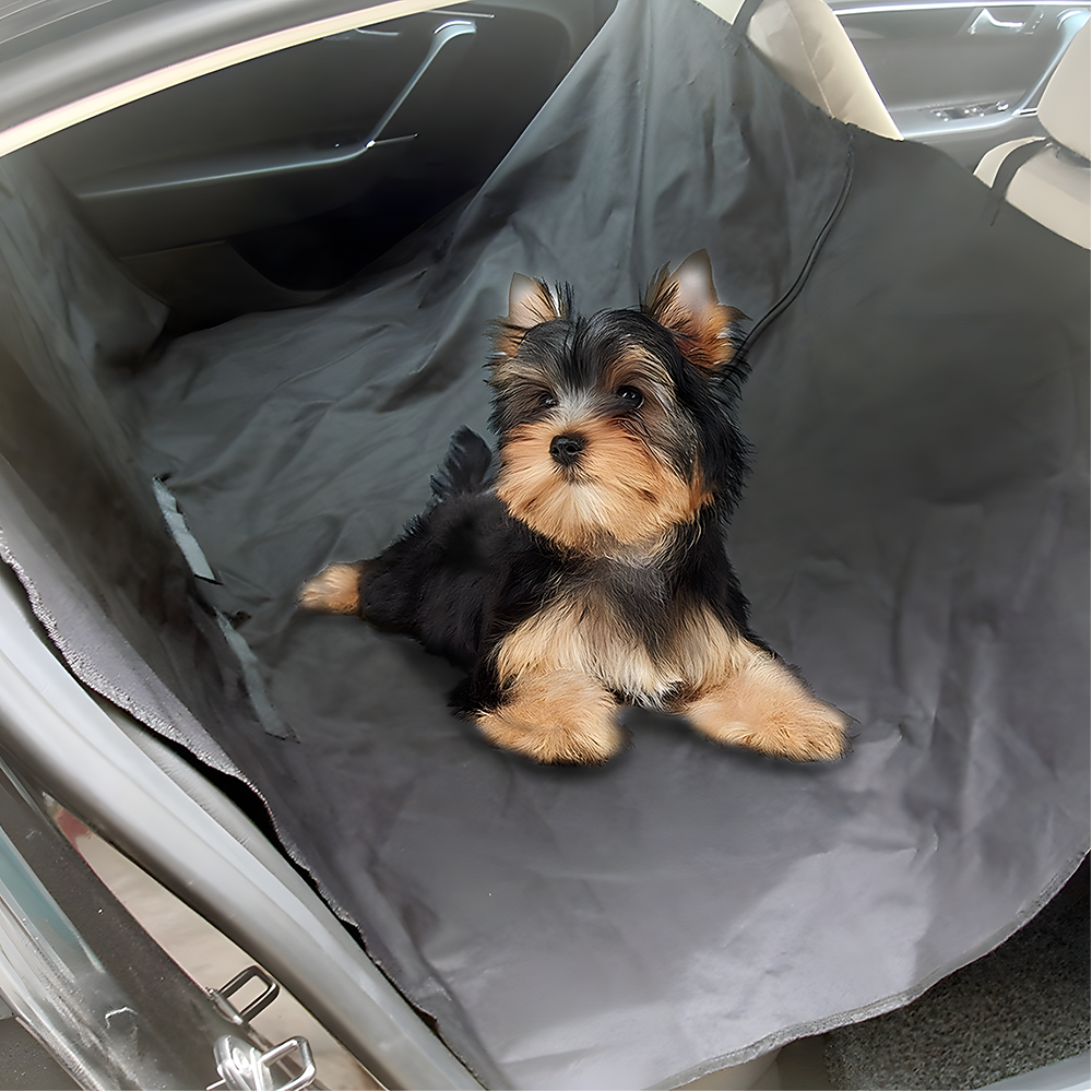dog on the seat cover
