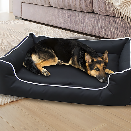dog on the New Aim Heavy Duty Waterproof Dog Bed - Large