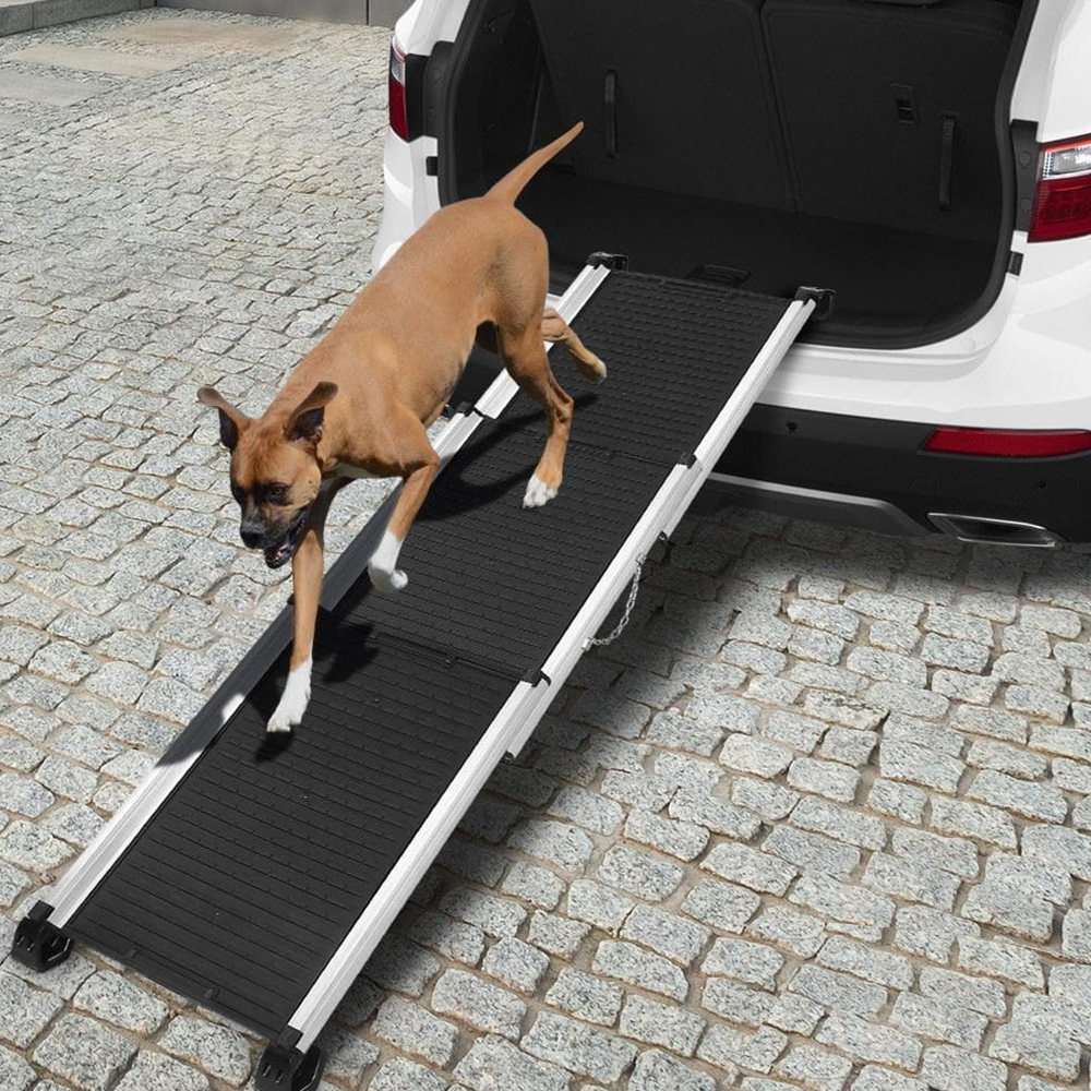 dog descending using the i.Pet Deluxe Aluminium Telescopic Pet Ramp - Black
