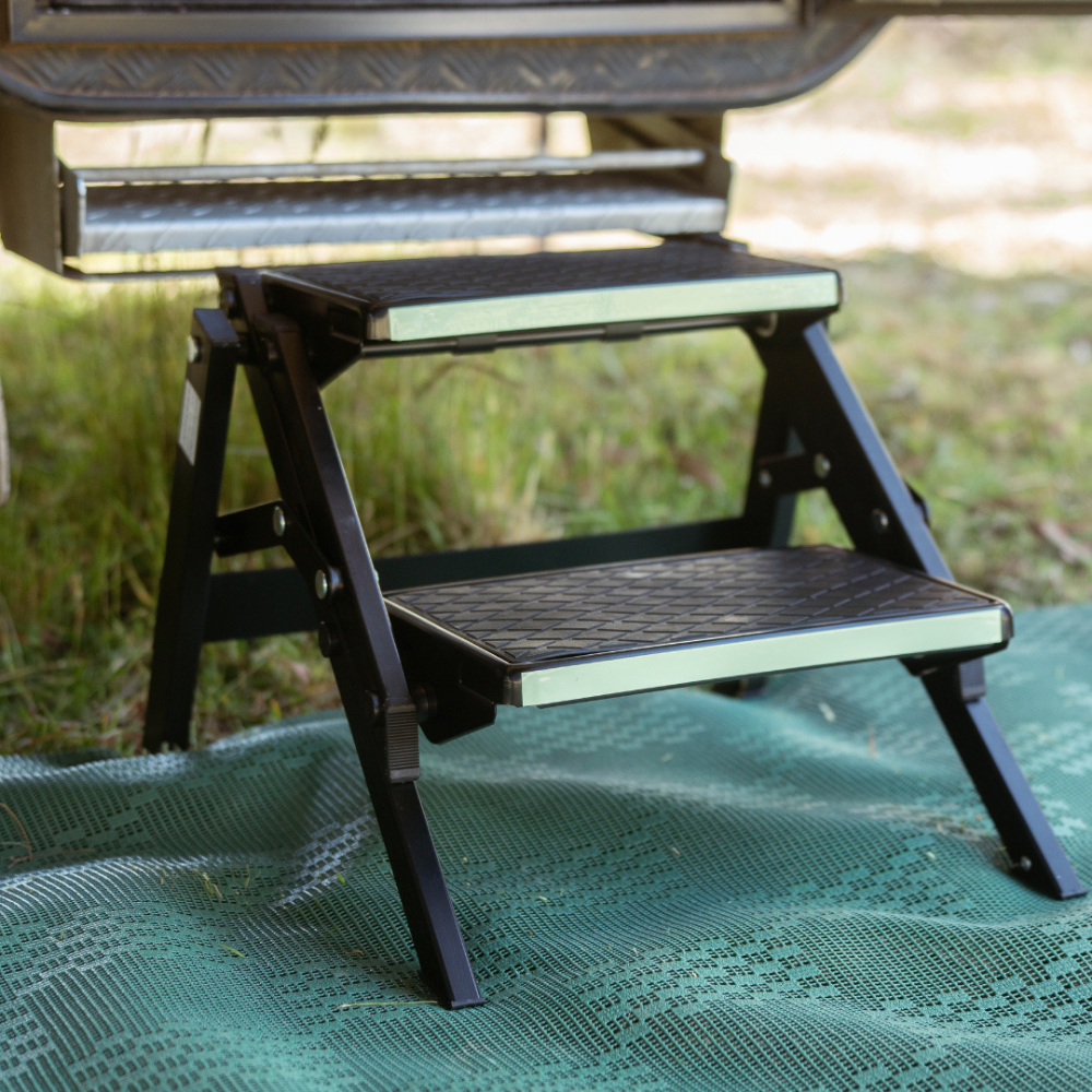 Black step ladder on a green surface with grass in the background