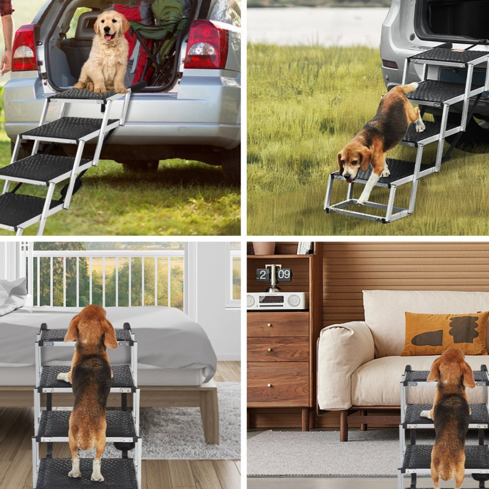Collage of a dog using a set of stairs in various settings including a car, grass, deck, and living room.