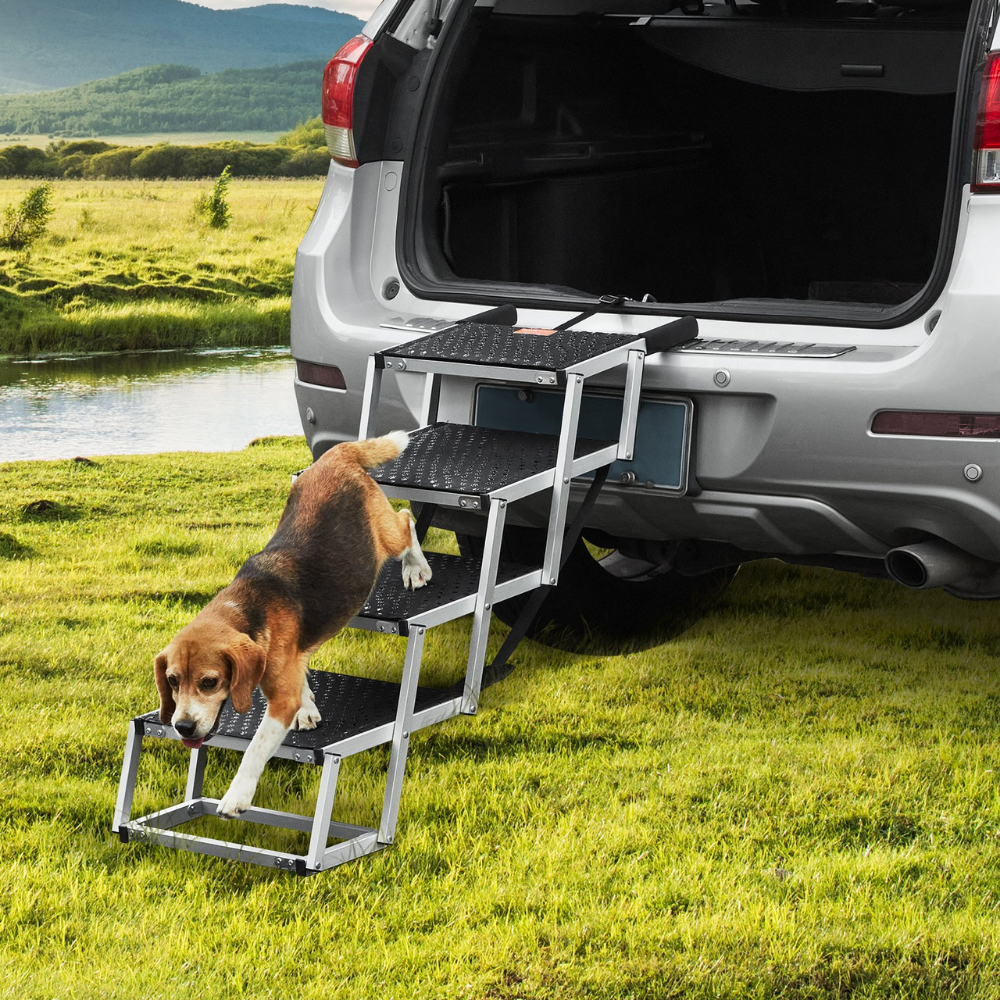 Dog using a set of folding steps to enter an open car trunk in a natural setting.