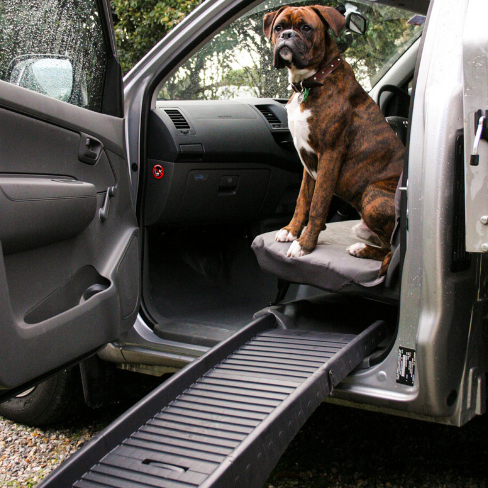 Dog sitting on a car seat with a open car door and a pet ramp