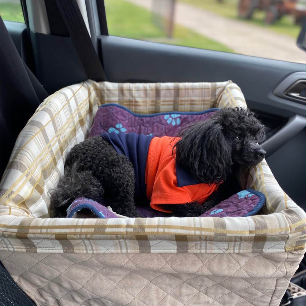 PetSafe Pet Products PetSafe® Deluxe On-Seat Booster Safety Seat for Cars