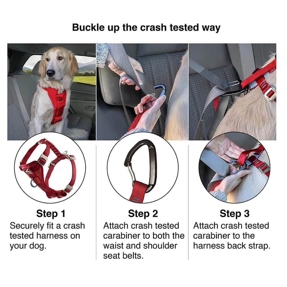 Kurgo® Tru-Fit Enhanced Strength Dog Car Harness - Black - Kurgo - Ramp Champ