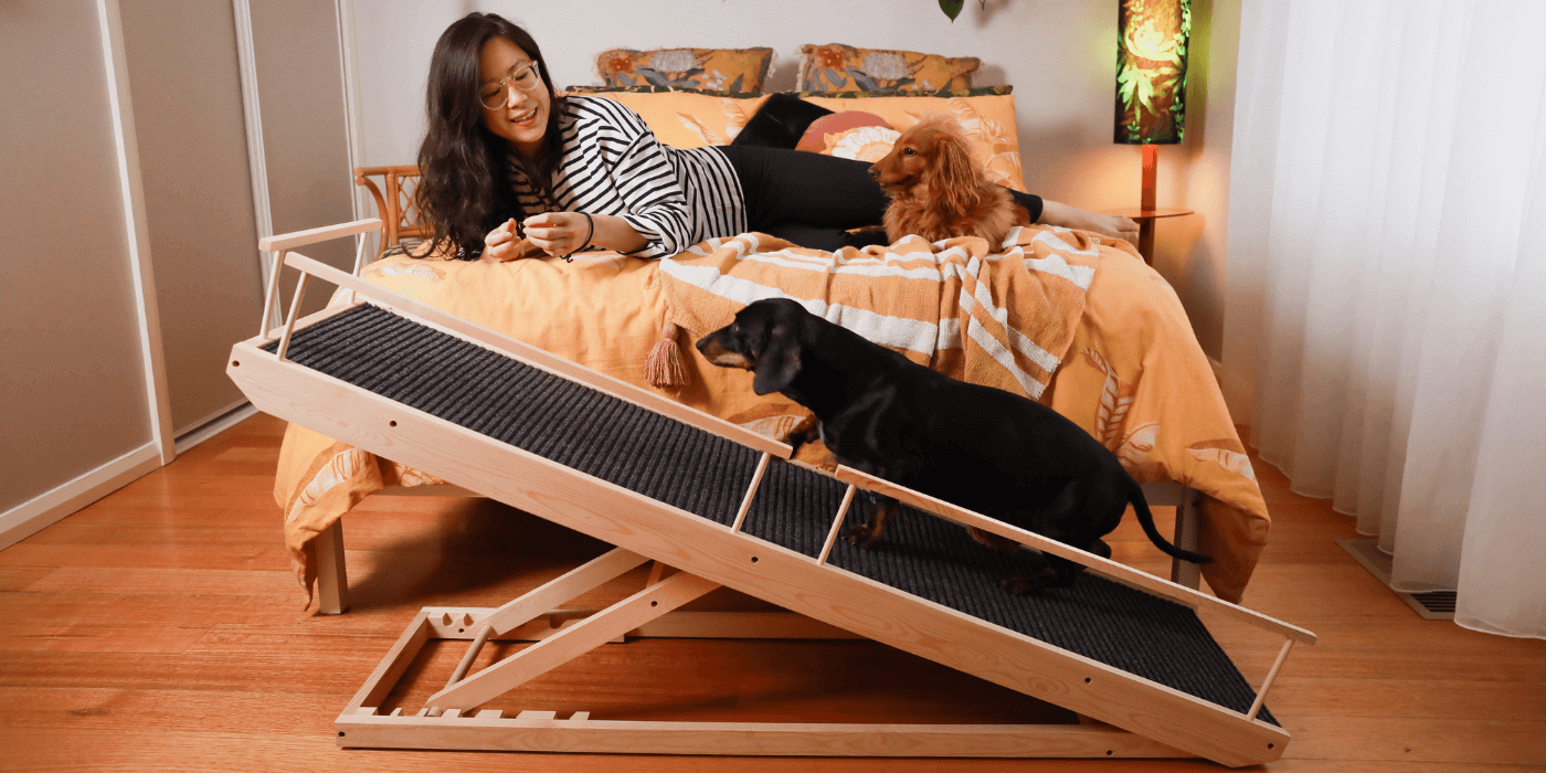 Ramp for dogs on stairs clearance