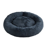 Dog Home & Play
