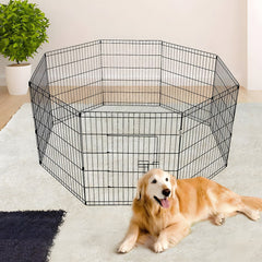 Dog Cages & Fences