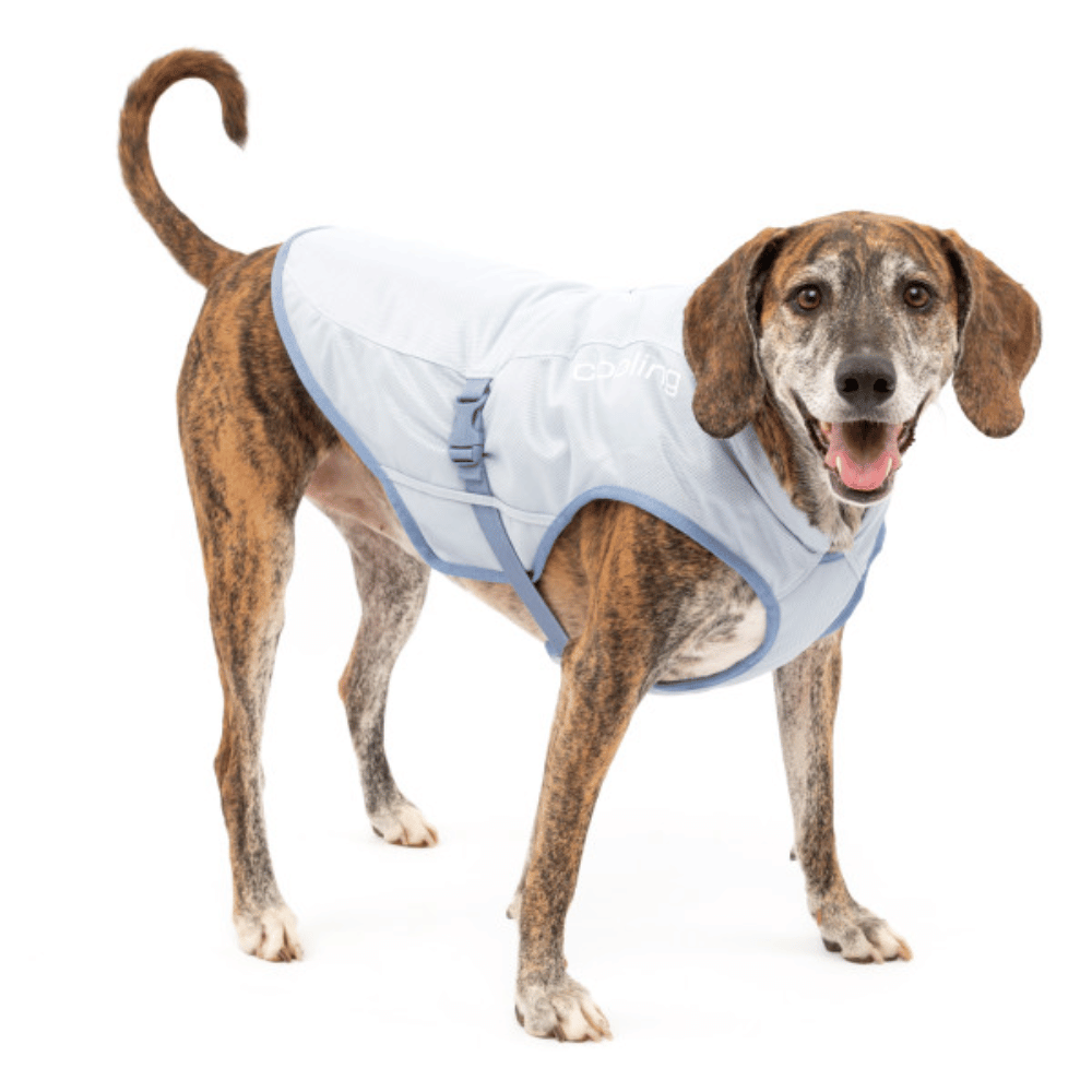 Kurgo Pet Products Large Kurgo Core Cooling Dog Vest - Icy Blue/Storm Blue