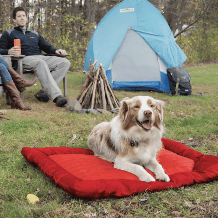 Kurgo Loft Wander Bed for Dogs — Ramp Champ