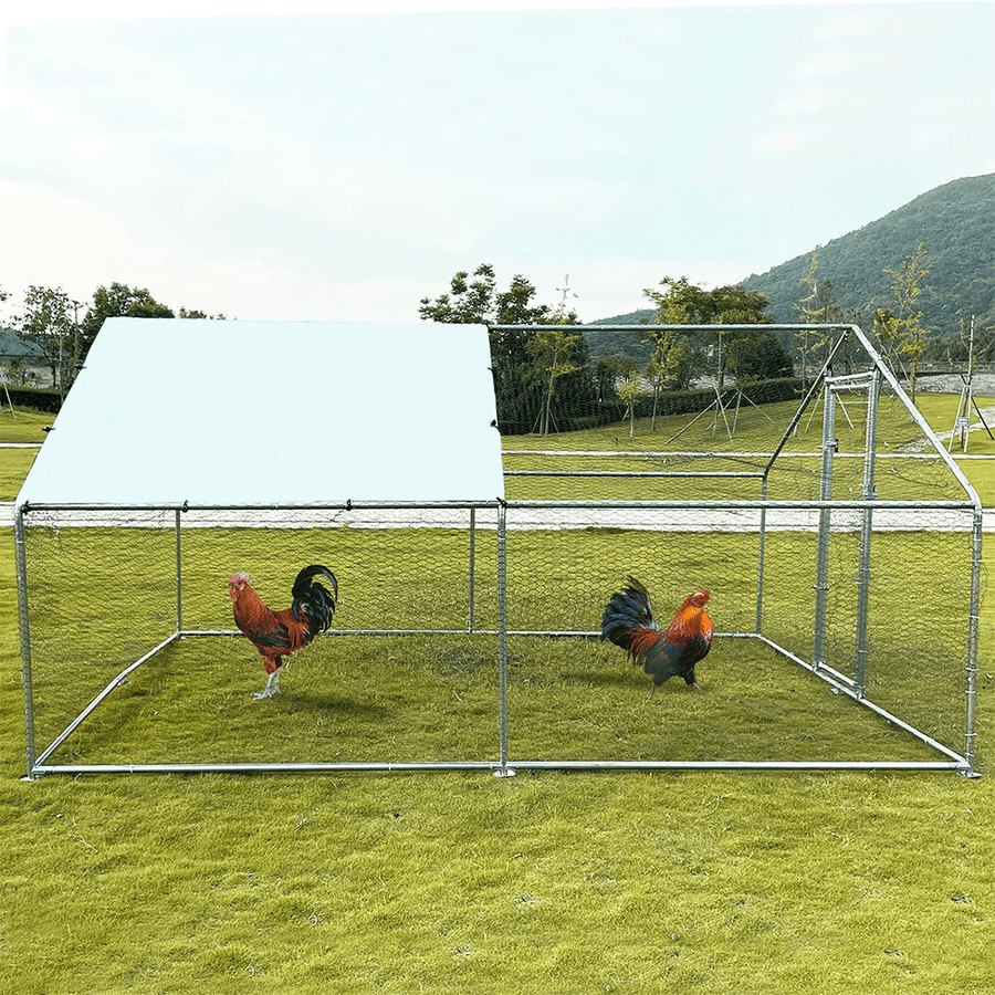 Heeve 25mm Galvanised Steel Chicken Coop – Ramp Champ