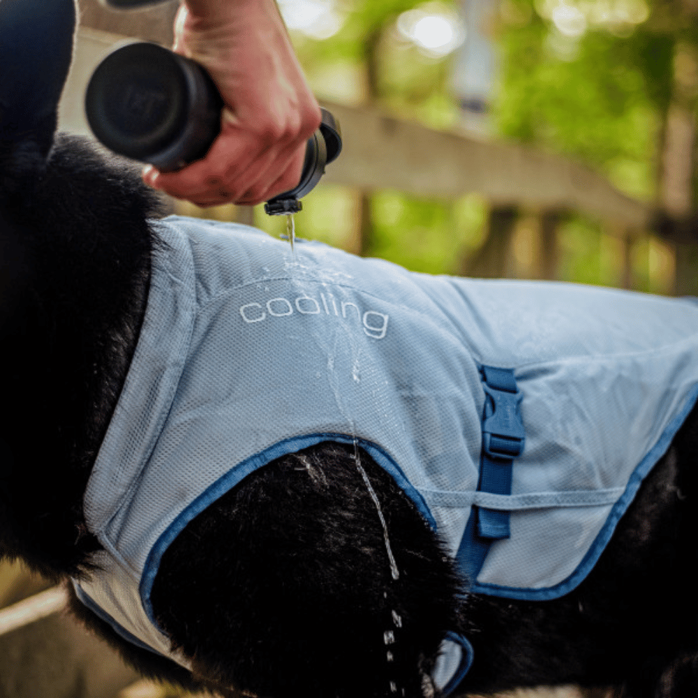 Kurgo Pet Products Kurgo Core Cooling Dog Vest - Icy Blue/Storm Blue