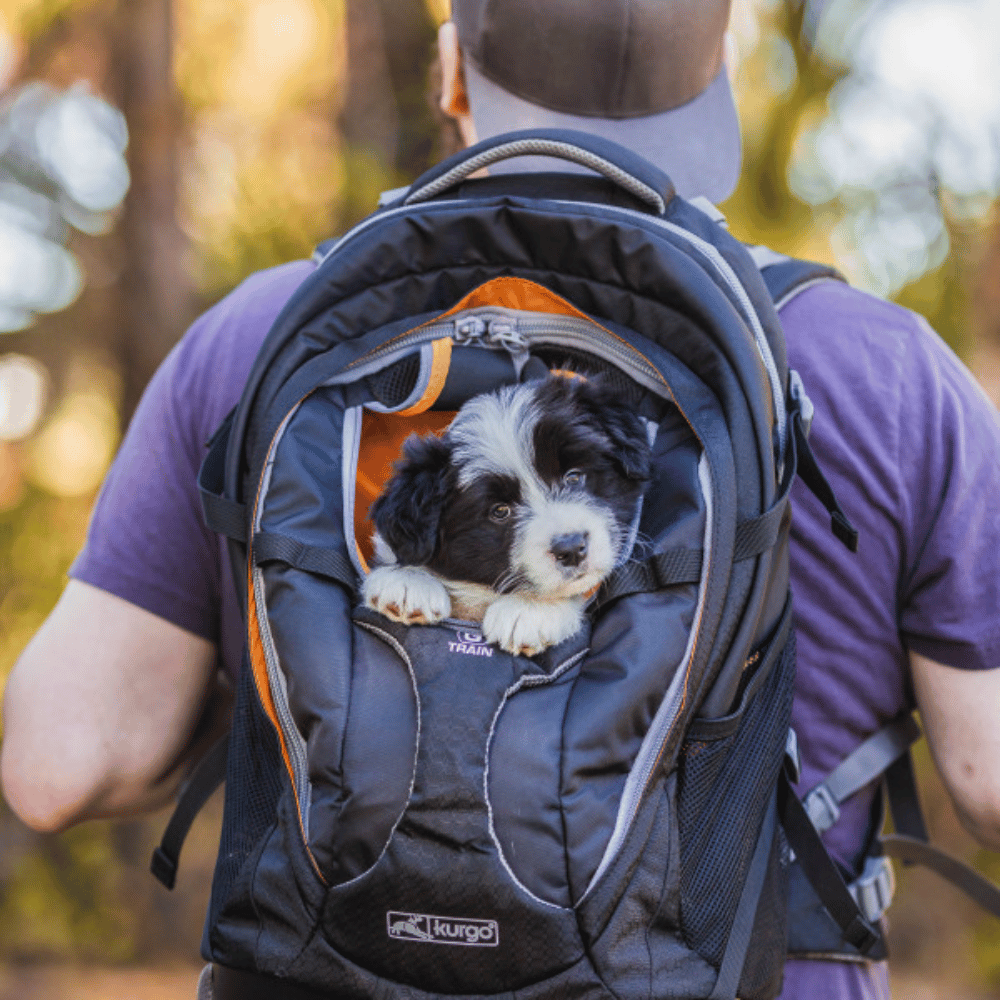 Kurgo Pet Products Kurgo G-Train K9 Pet Backpack