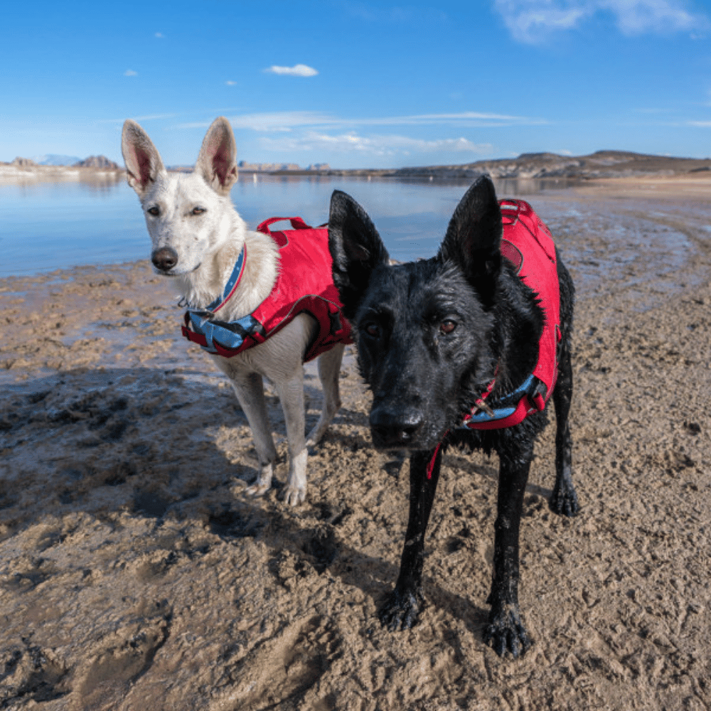 Kurgo Pet Products Surf N Turf Dog Life Jacket, Red