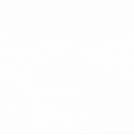 BULLET 3-Tonne Heavy-Duty Low Profile Car Service Ramps