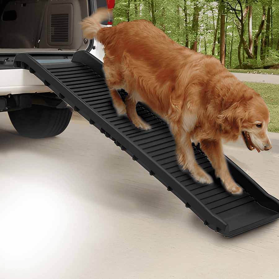 Kayak Dog Ramp Furtastic Foldable Vehicle Pet Ramp - Black – Ramp Champ