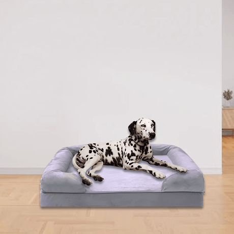New Aim Orthopaedic Memory Foam Dog Pet Bed