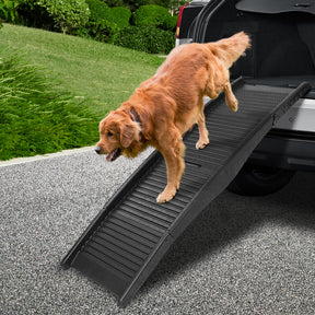 i.Pet Portable Folding Plastic Dog Ramp for Cars – Black - golden retriever walking down the ramp from an SUV