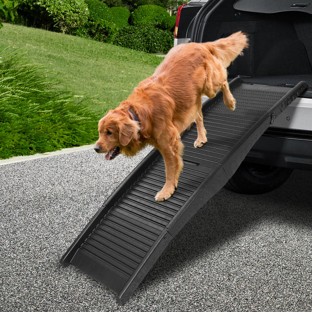 i.Pet Portable Folding Plastic Dog Ramp for Cars – Black - golden retriever walking down the ramp from an SUV