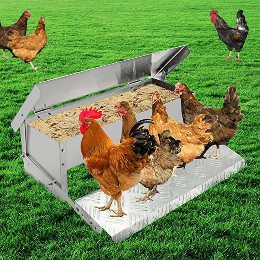 Heeve Livestock Accessories Heeve Galvanised Steel Chicken Feeder