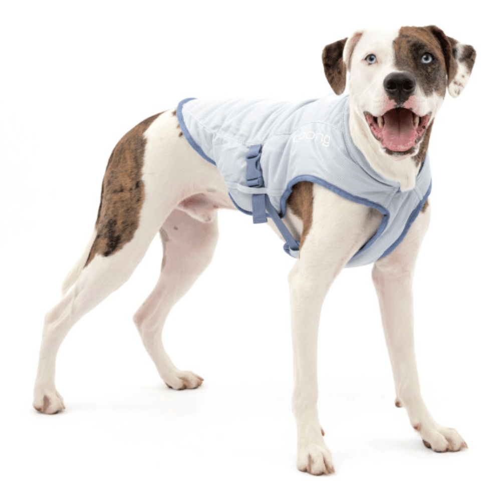 Kurgo Pet Products Medium Kurgo Core Cooling Dog Vest - Icy Blue/Storm Blue