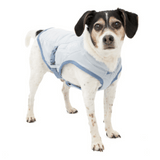Kurgo Pet Products Small Kurgo Core Cooling Dog Vest - Icy Blue/Storm Blue